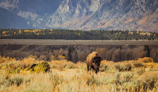 Heavy Rain Detroys Roads